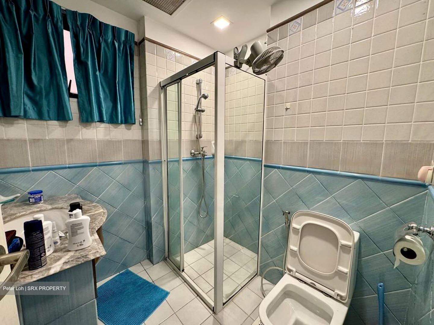 Dover Parkview (D5), Condominium #453294941